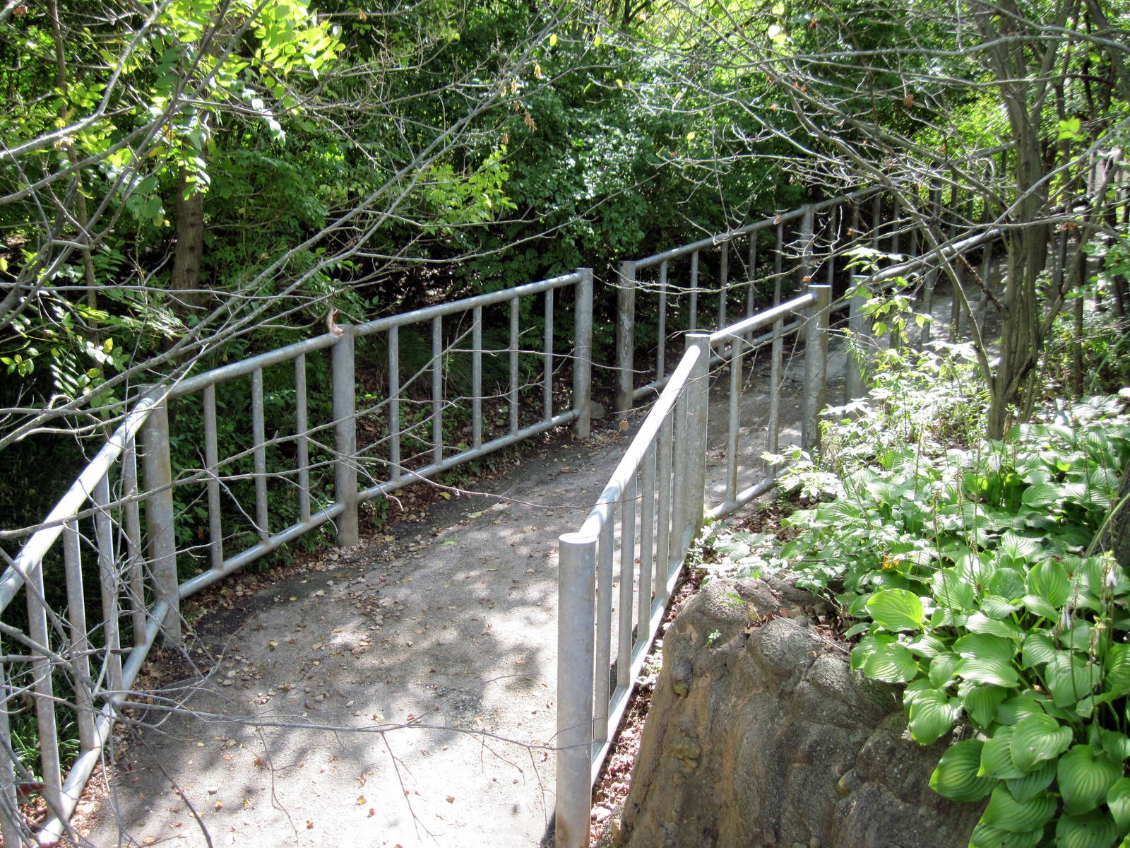 Africa-Nile Hippopotamus Ramp