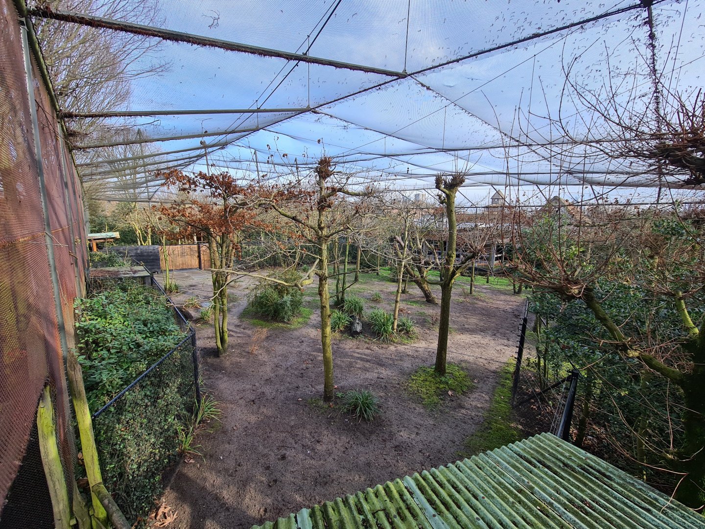 Africa - Okapi aviary general view