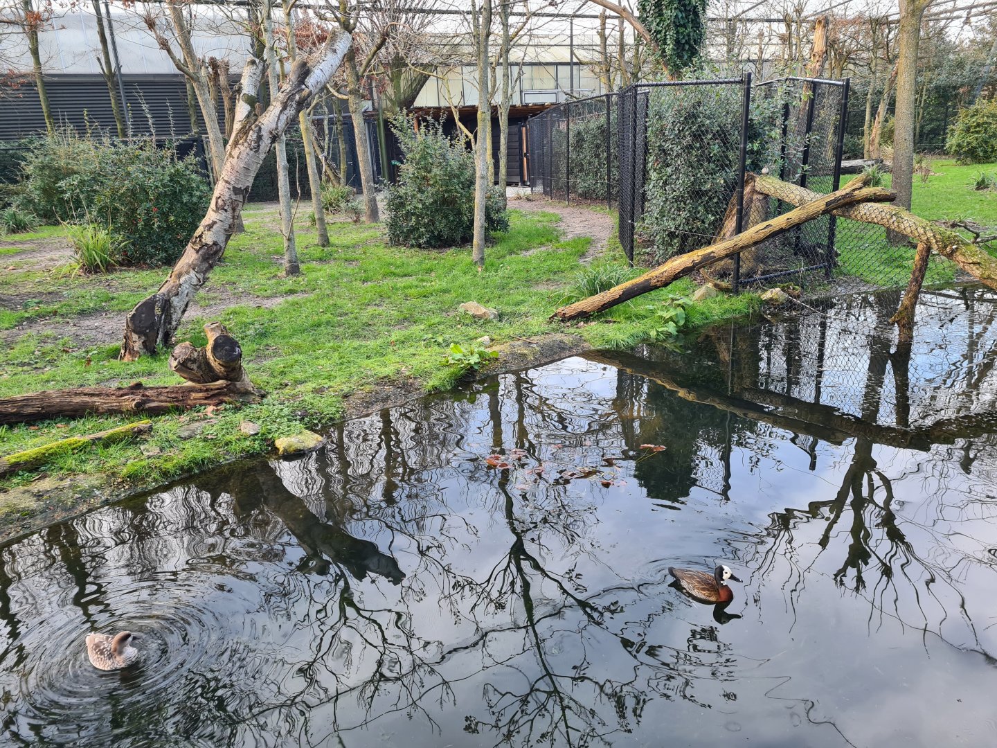 Africa - Okapi aviary general view