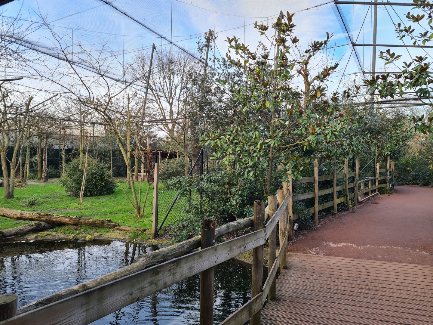 Africa - Okapi aviary general view