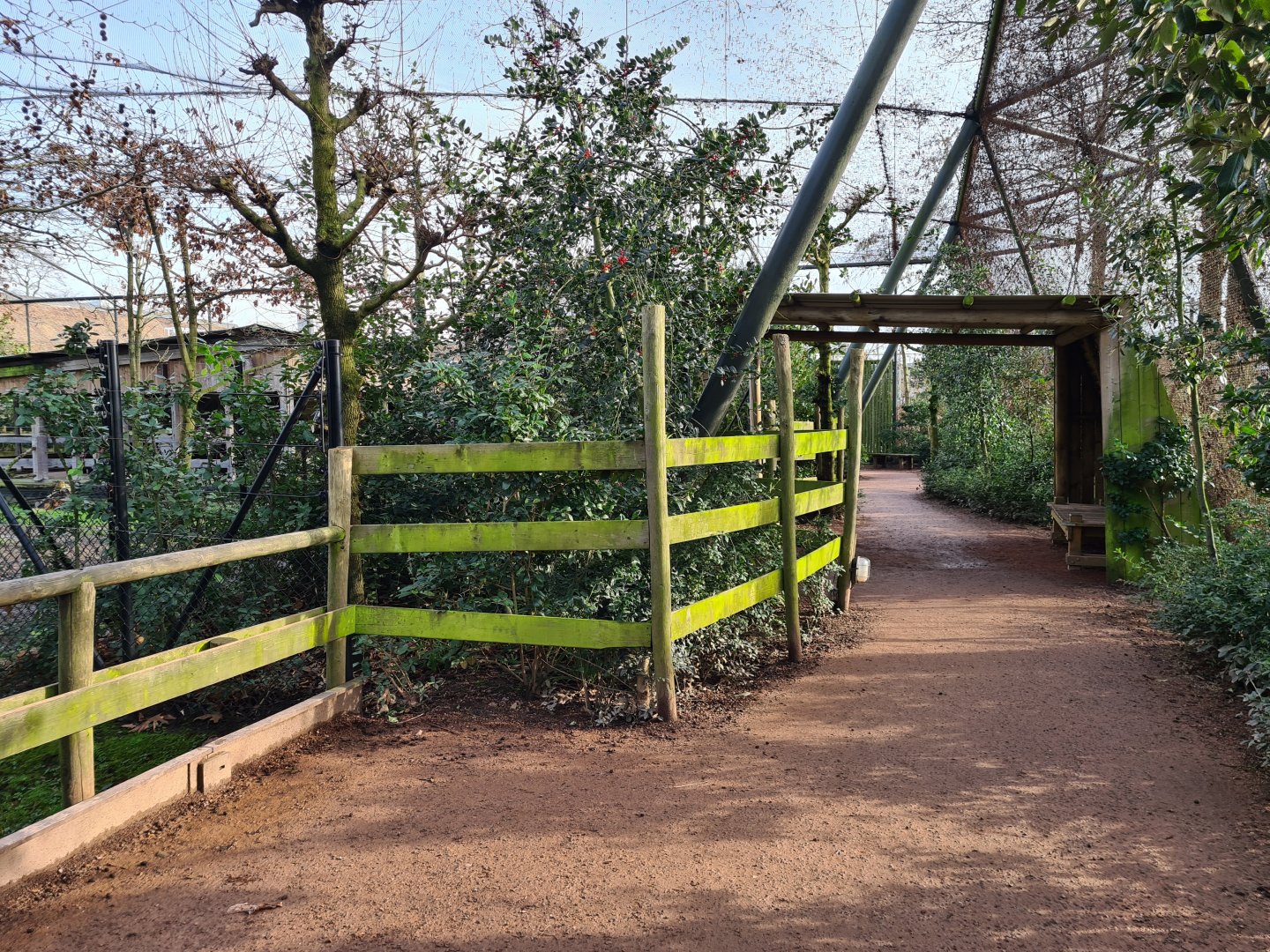 Africa - Okapi aviary pathway