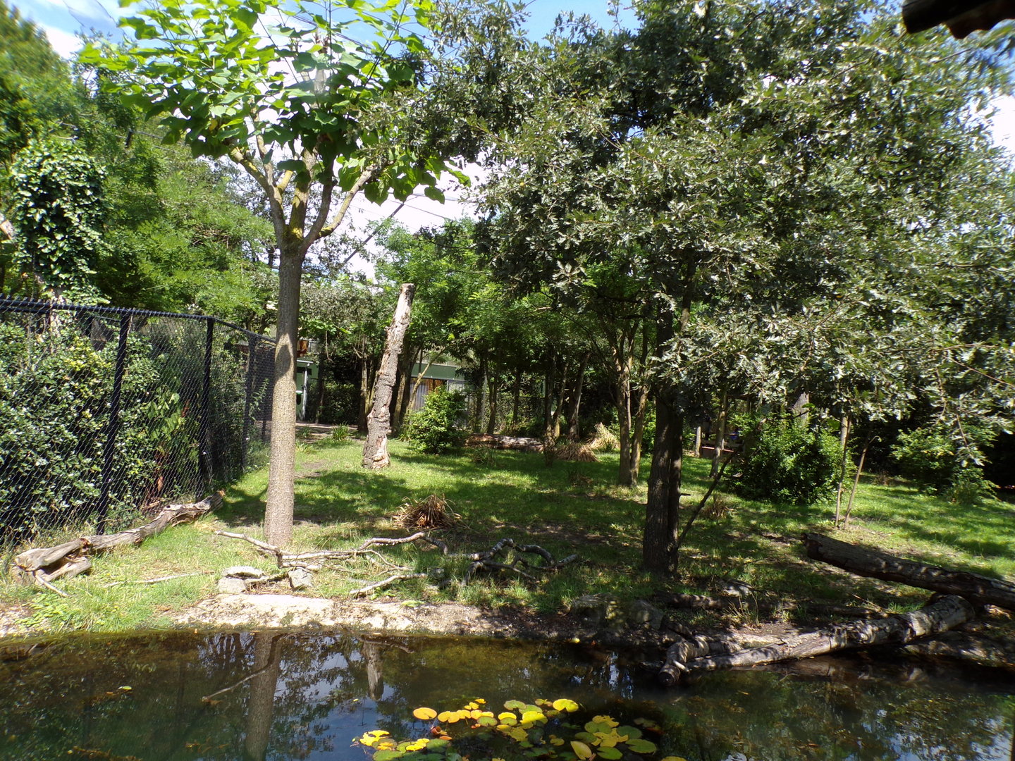 Africa- Okapi enclosure 13.7.23