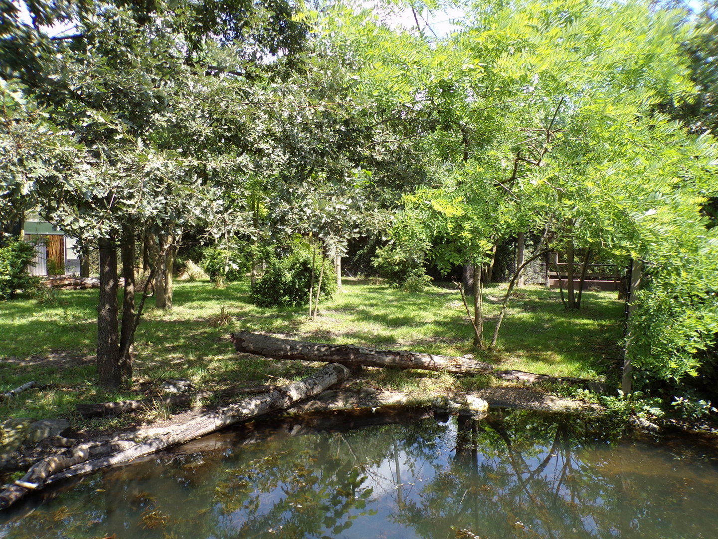 Africa- Okapi enclosure 13.7.23