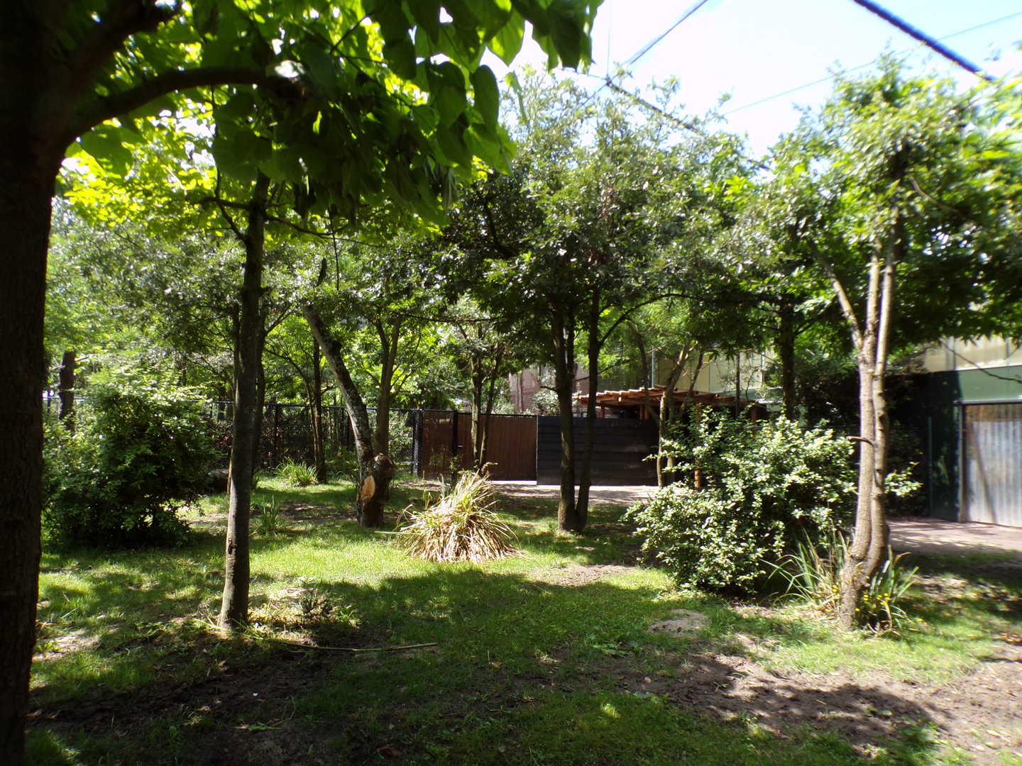 Africa- Okapi enclosure 13.7.23