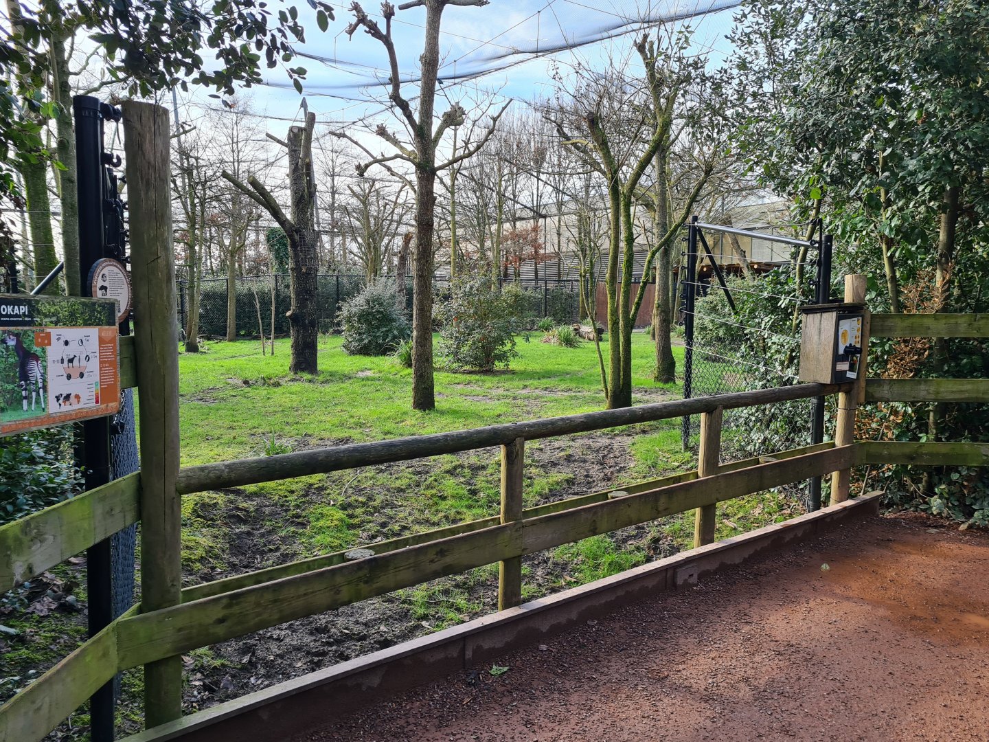 Africa - Okapi viewing point in Okapi aviary