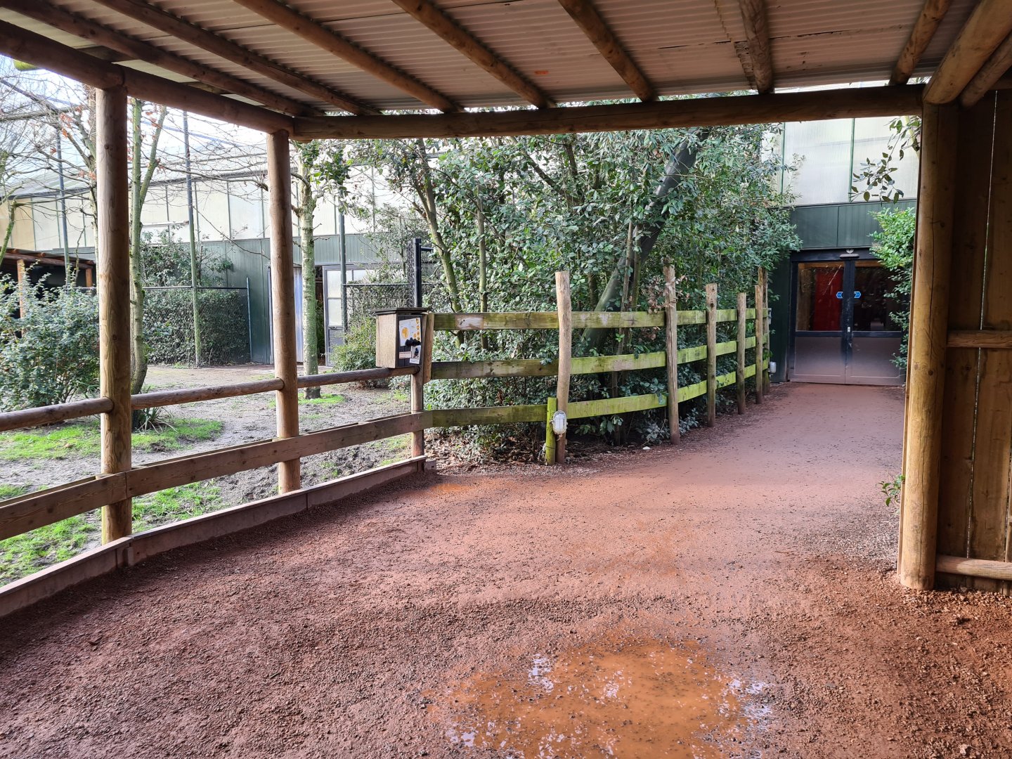 Africa - Okapi viewing point in Okapi aviary