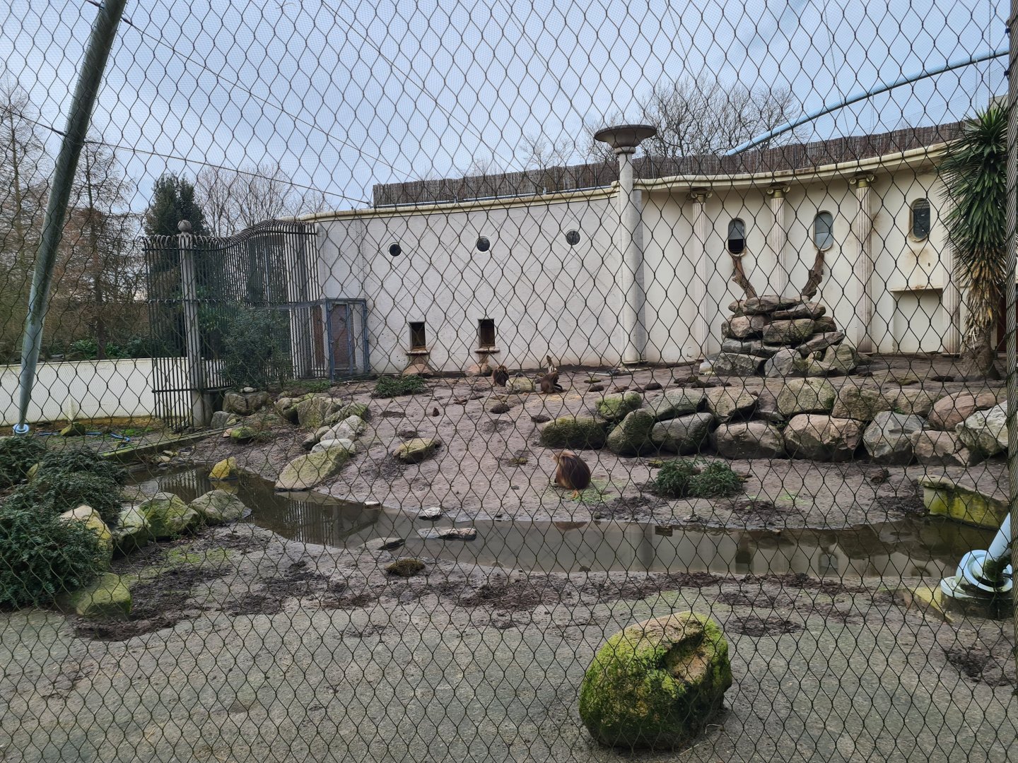 Africa - Other side of Gelada complex