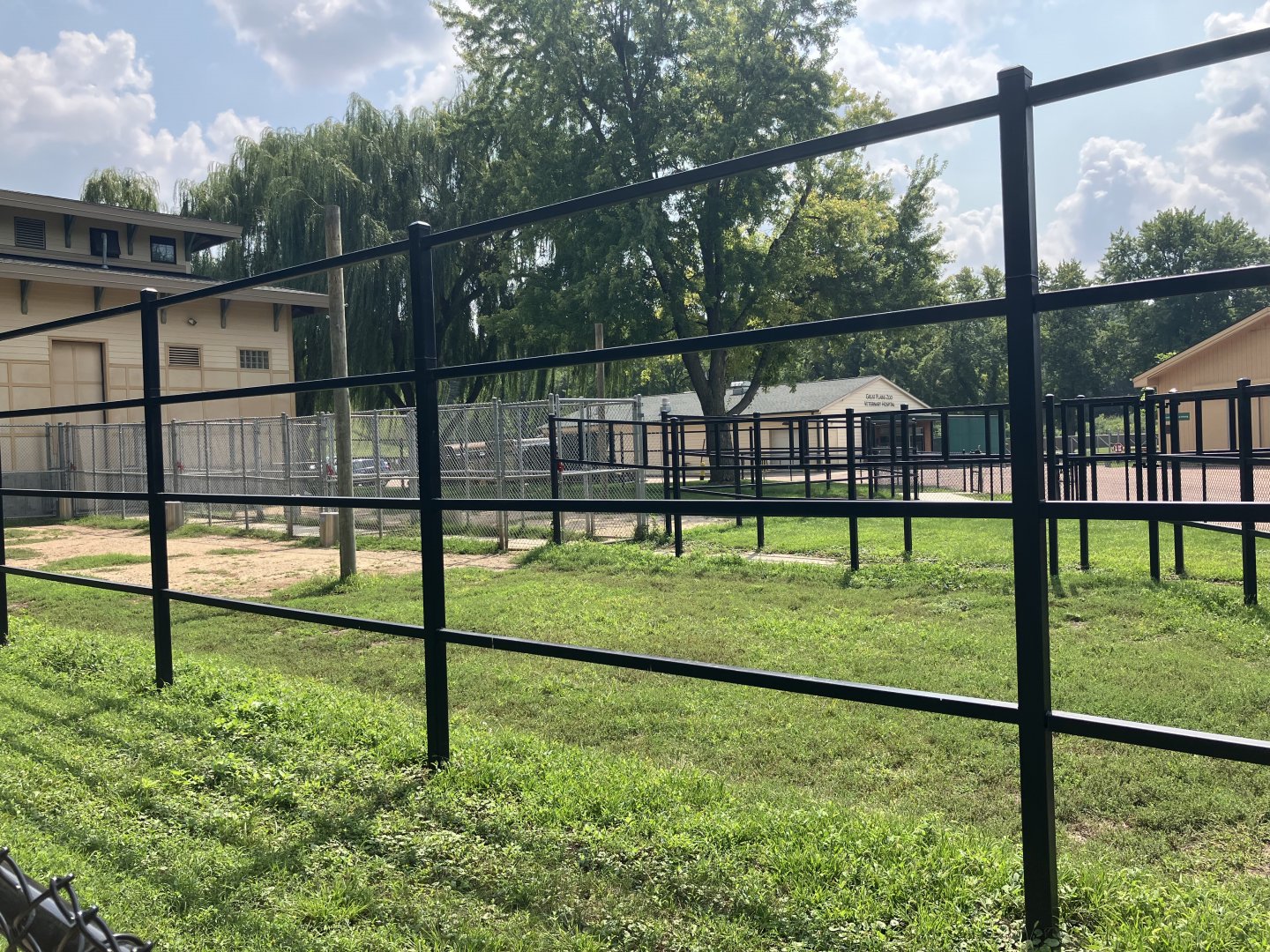 Africa - Outdoor Giraffe Exhibit