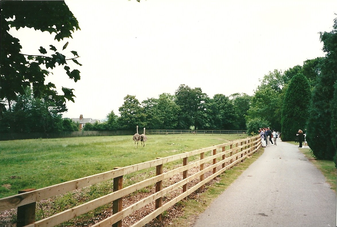Africa paddock 22nd July 2000