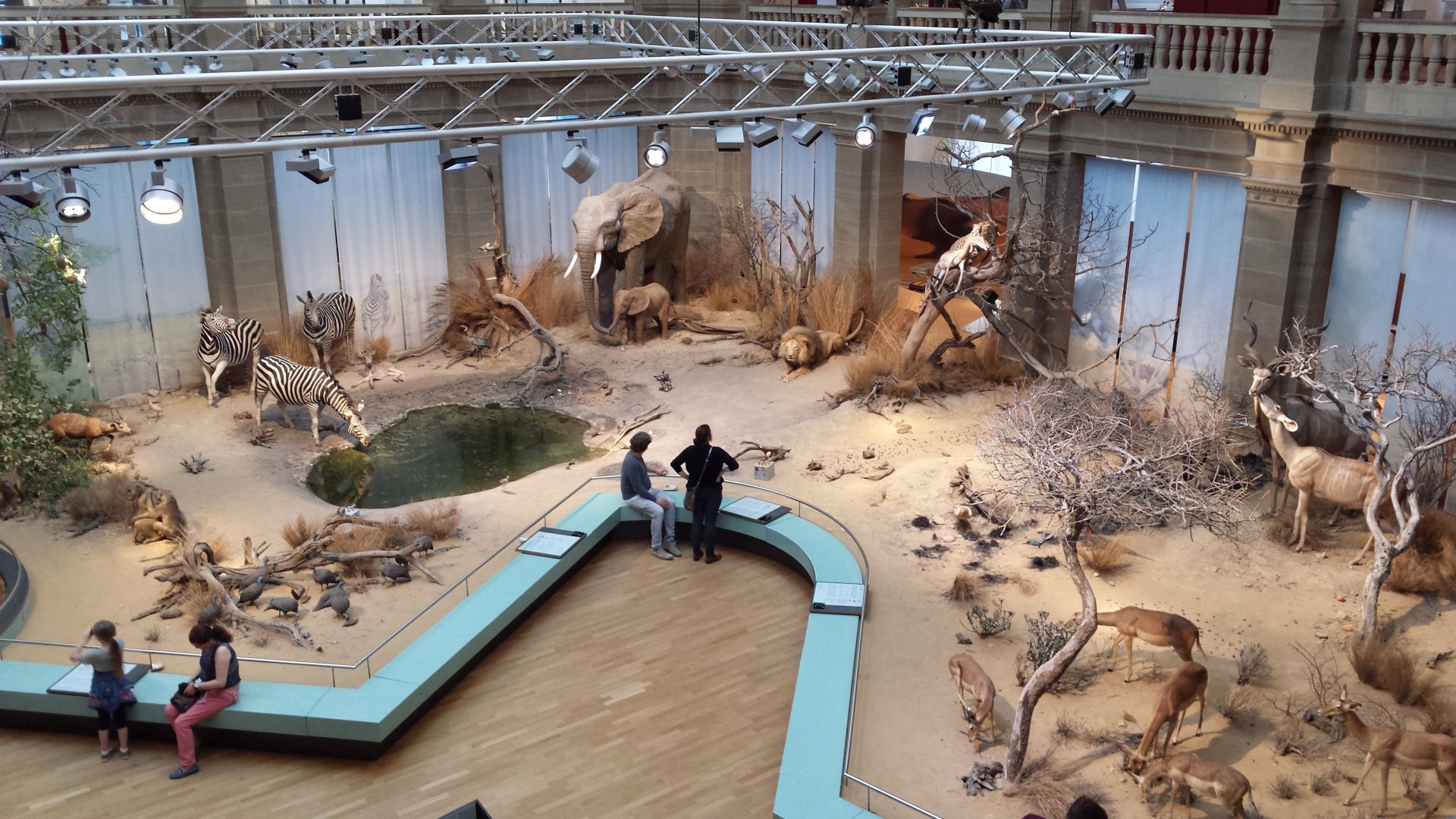 Africa panorama at Museum Koenig Bonn