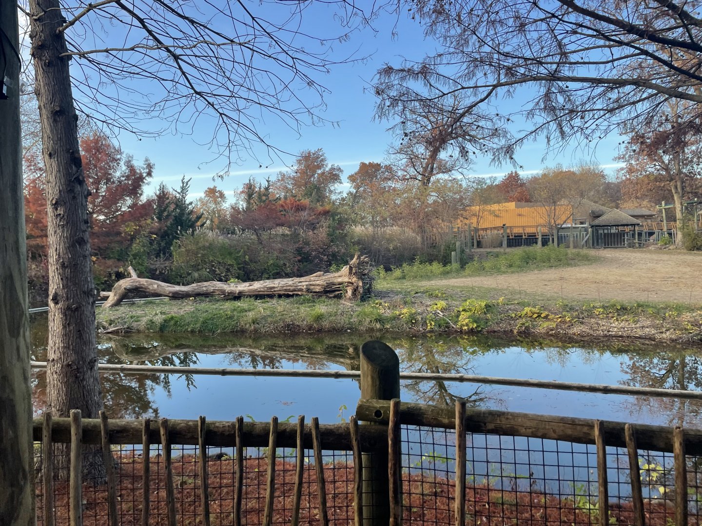 Africa Panorama View- November 2024