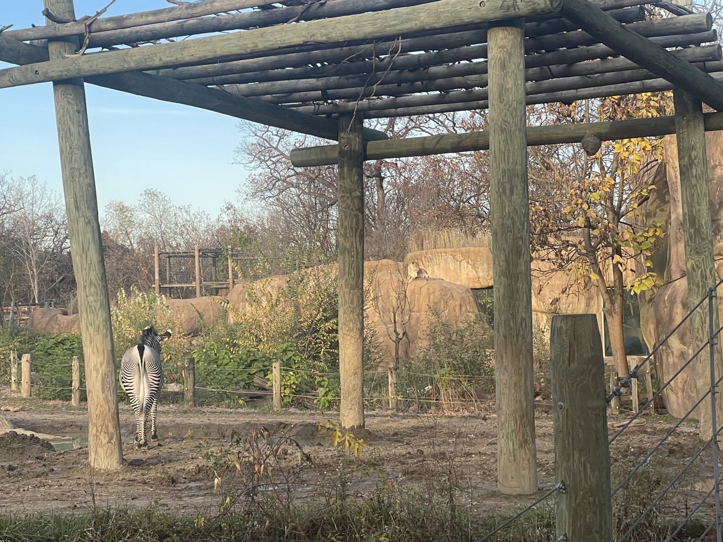 Africa Panorama View- November 2024