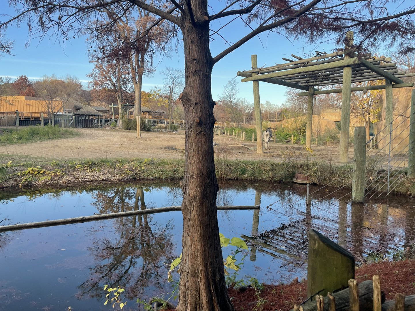 Africa Panorama View- November 2024