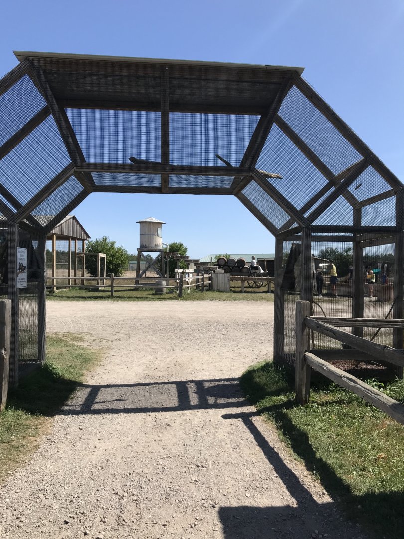 “Africa”- parakeet exhibit