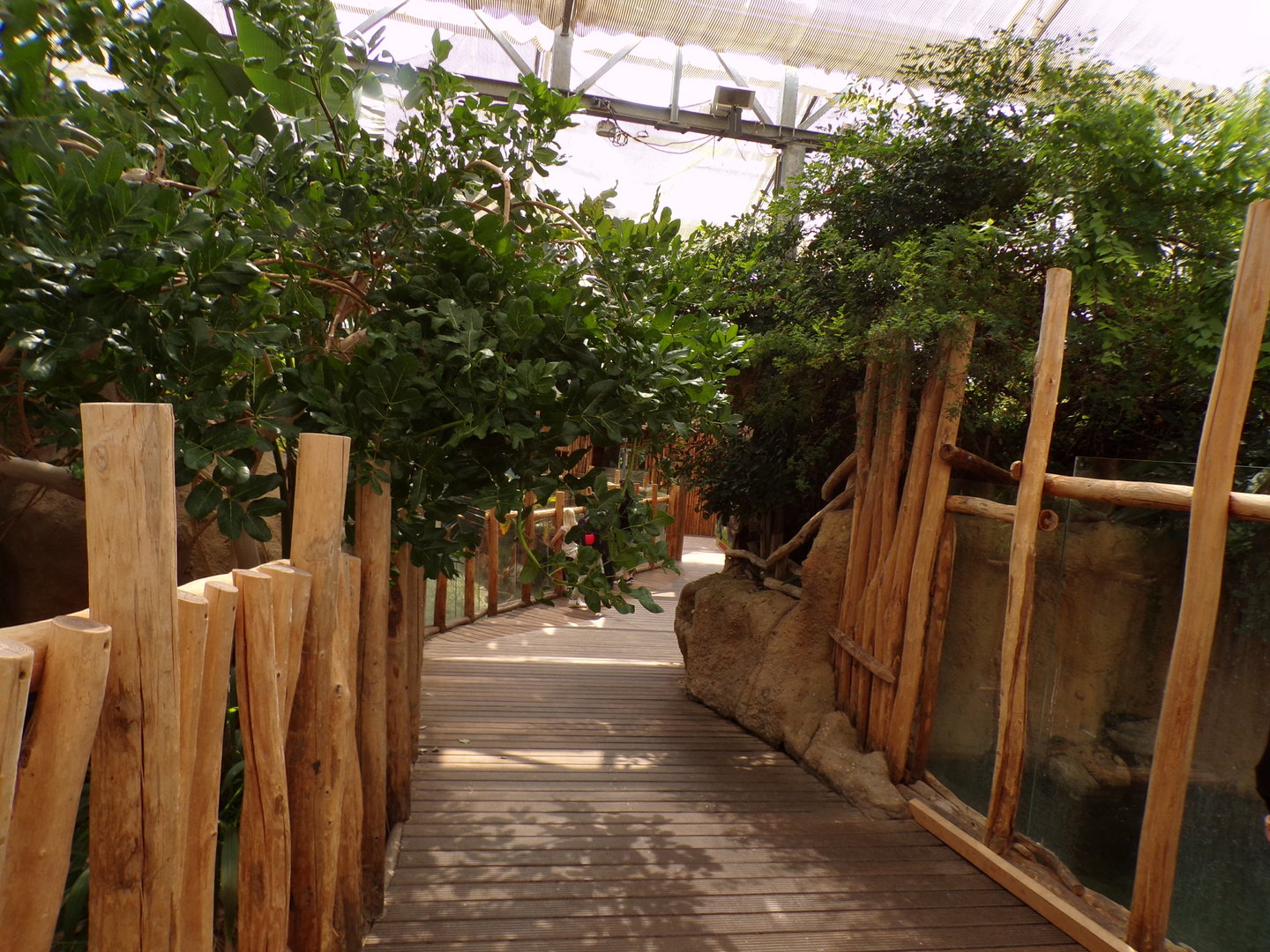 Africa- Path in crocodile house 13.7.23