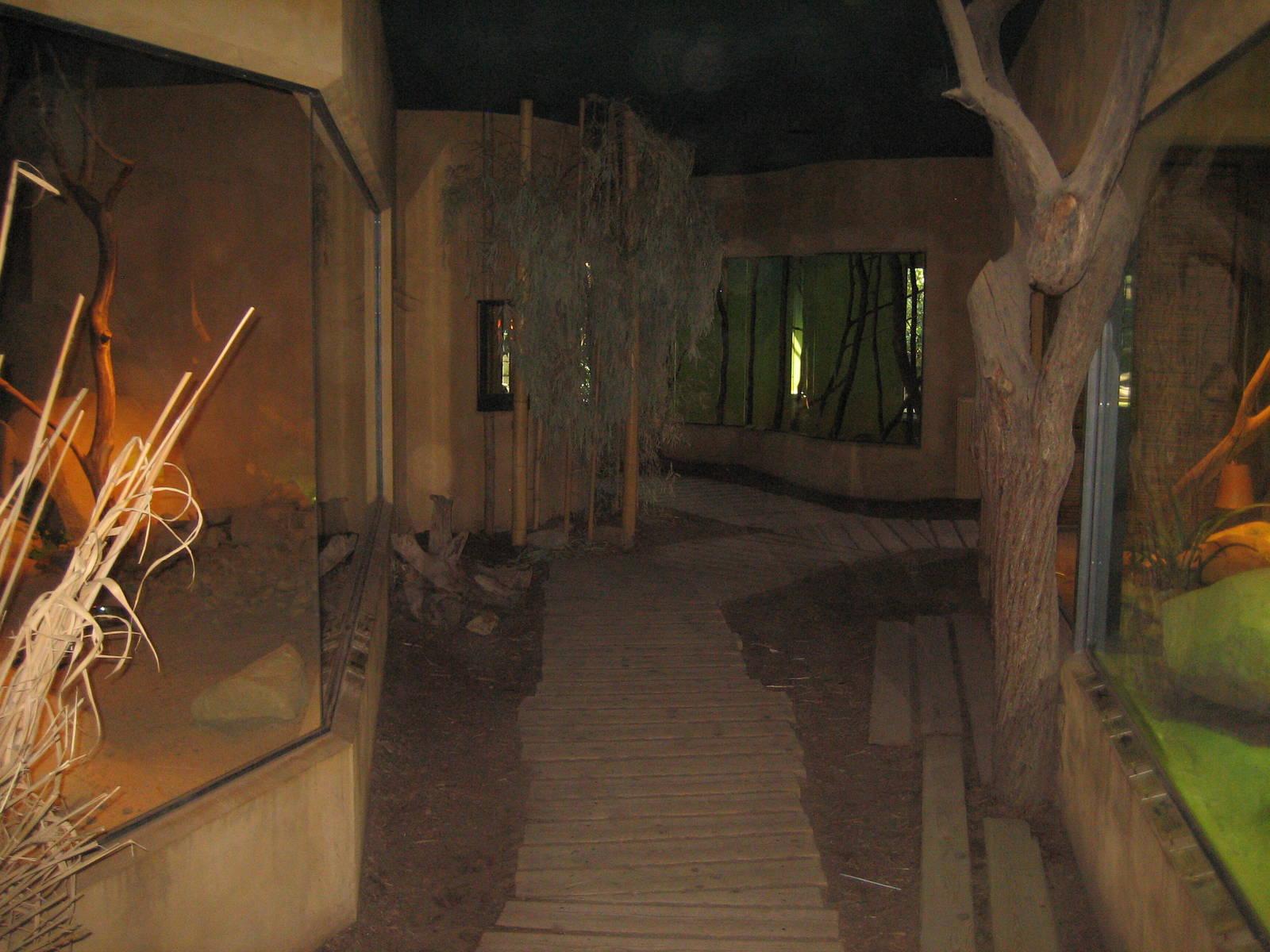 Africa Pavillion Visitor Room