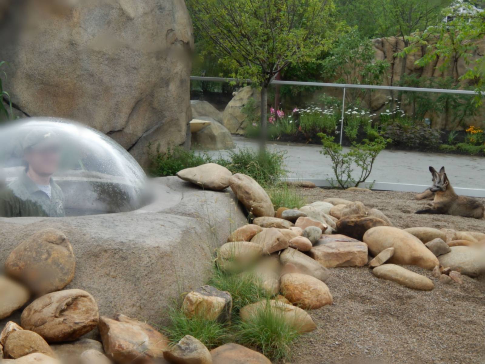 Africa - Phase IV (New 2014!) - Having Fun on the Job!