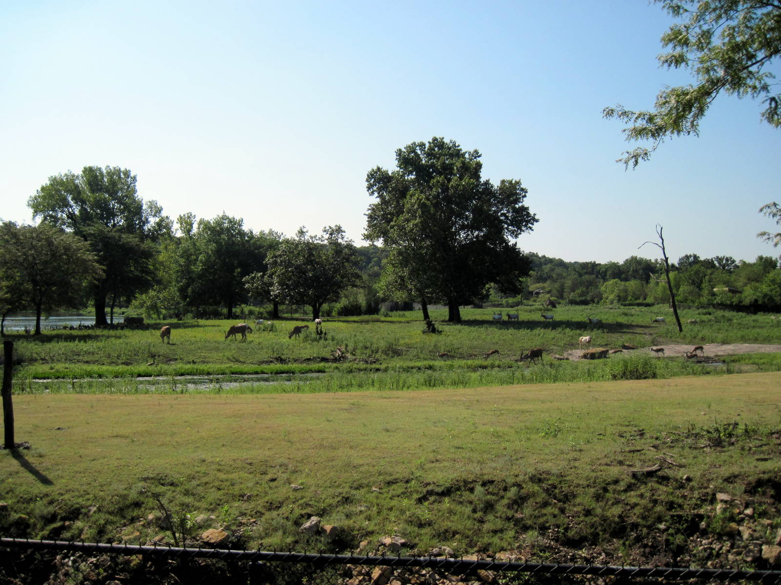 Africa-Plains Exhibit