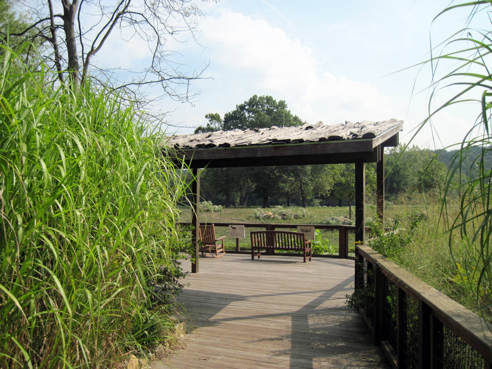 Africa-Plains Viewing Deck