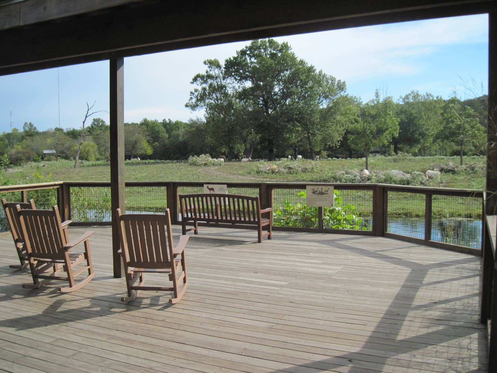 Africa-Plains Viewing Deck