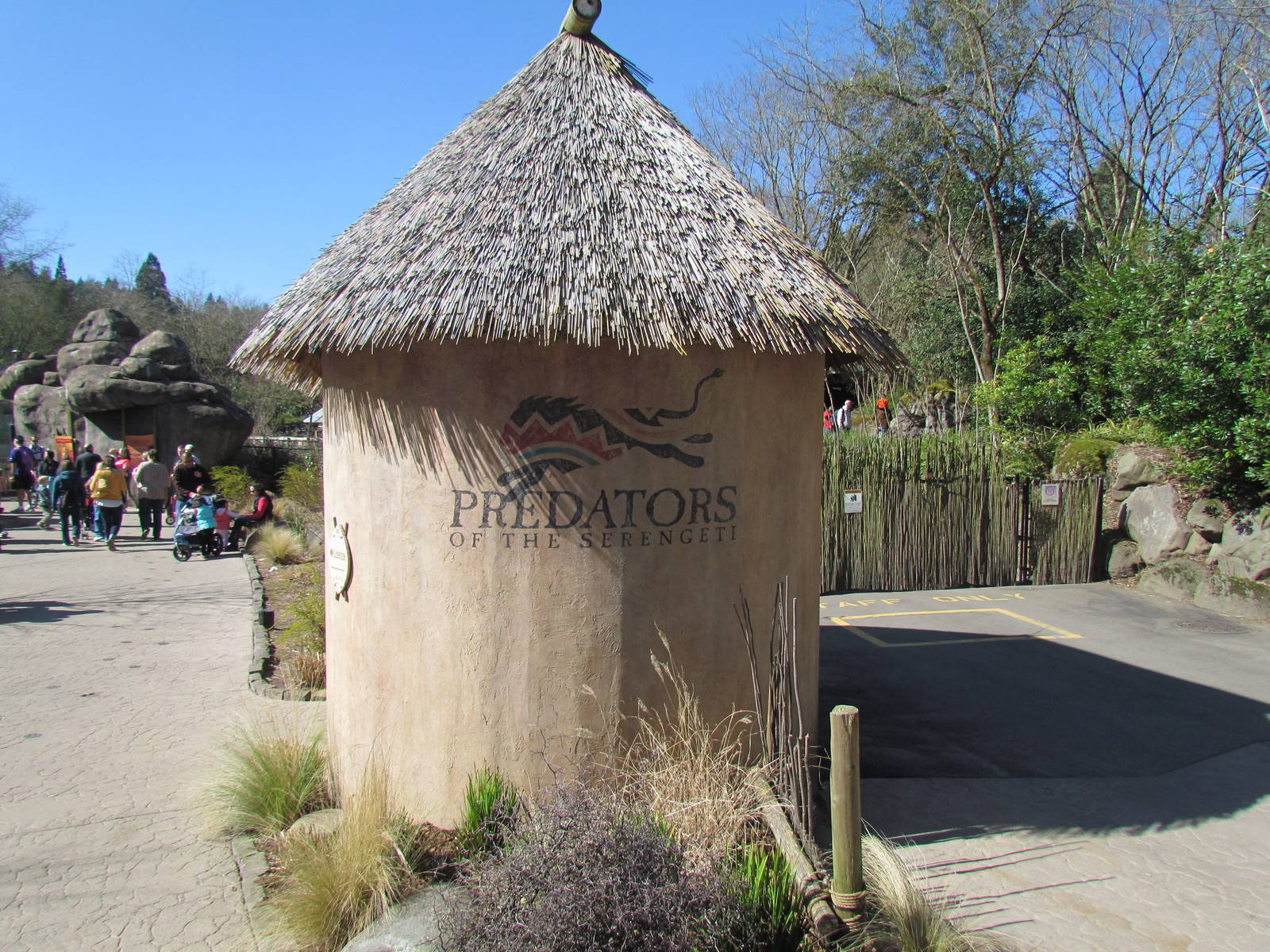 Africa - Predators of the Serengeti