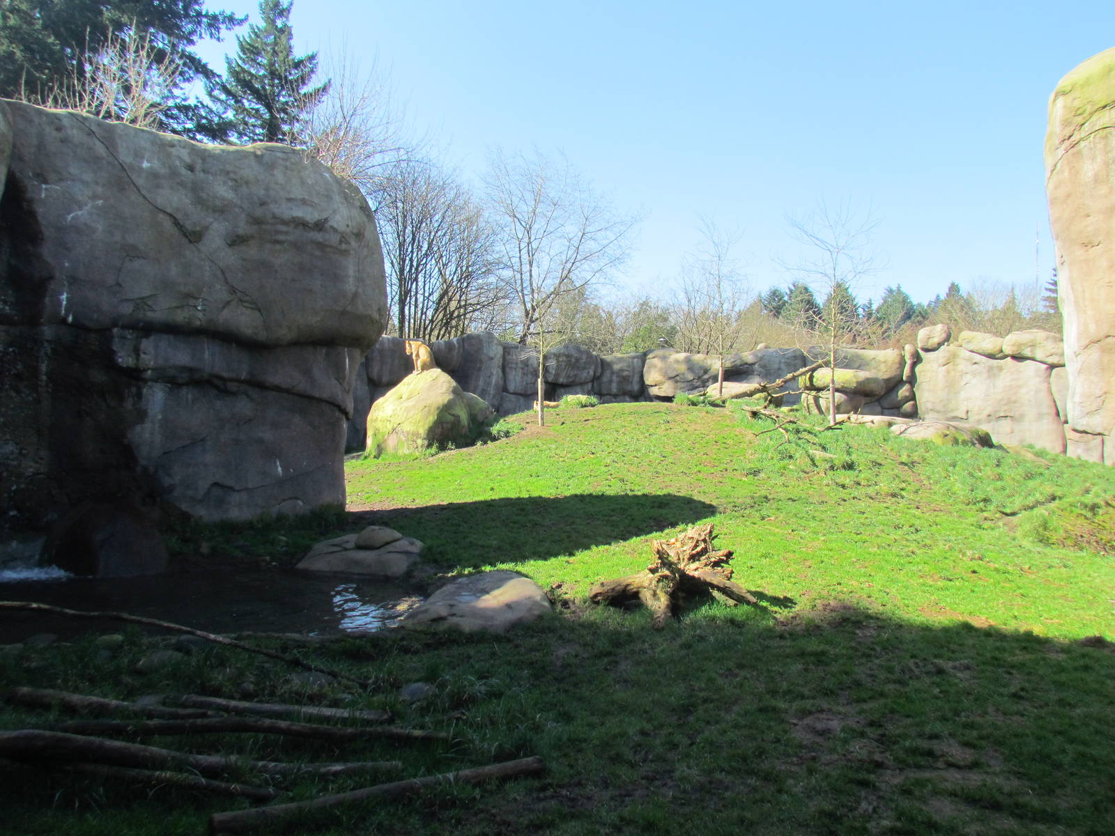 Africa - Predators of the Serengeti