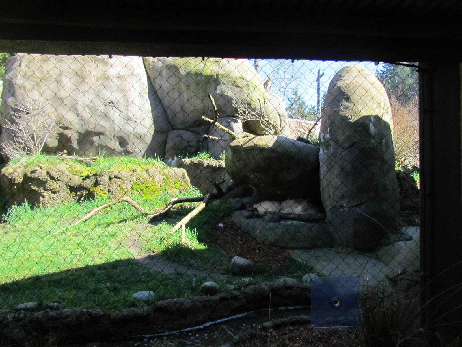 Africa - Predators of the Serengeti