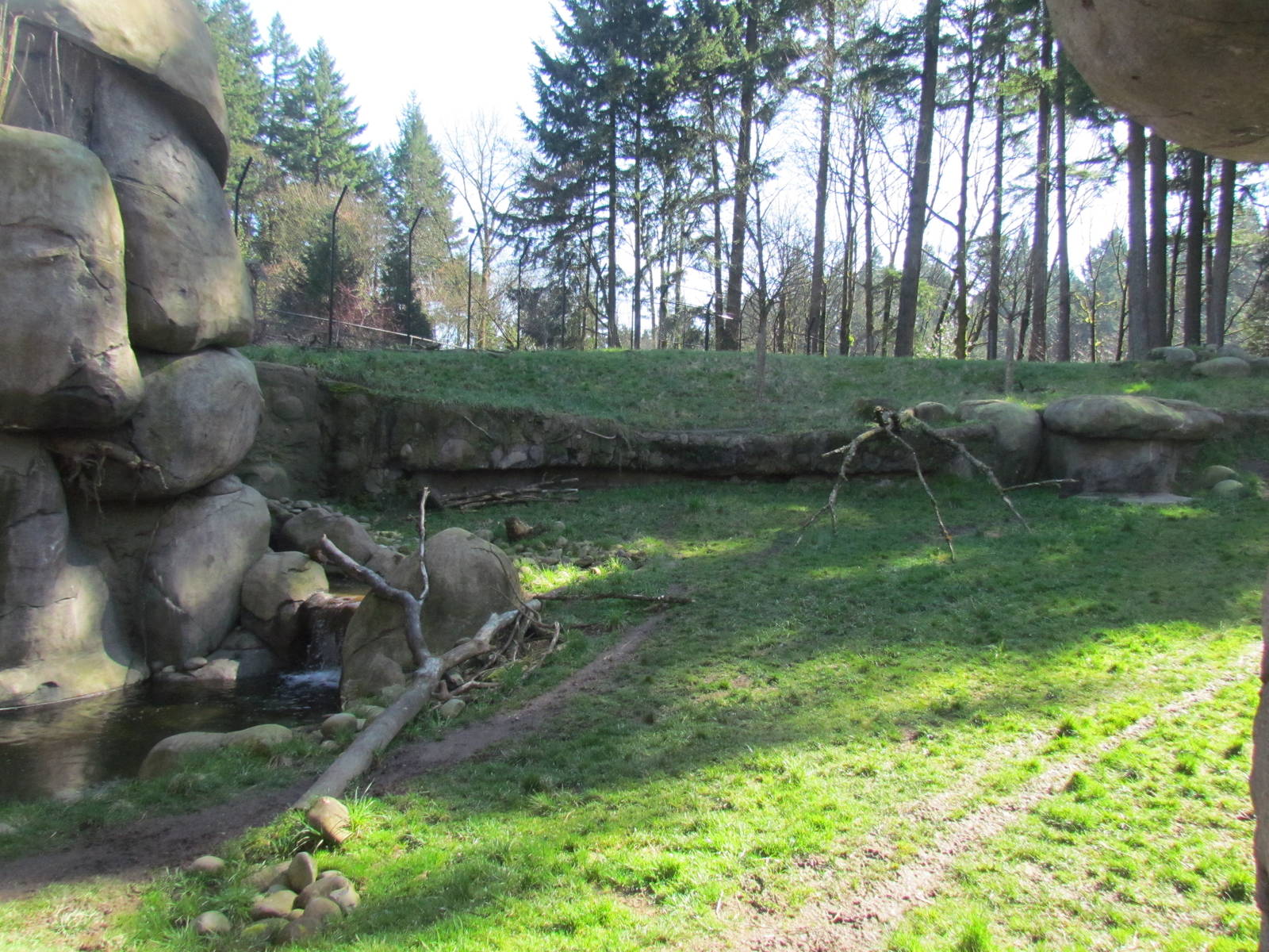 Africa - Predators of the Serengeti