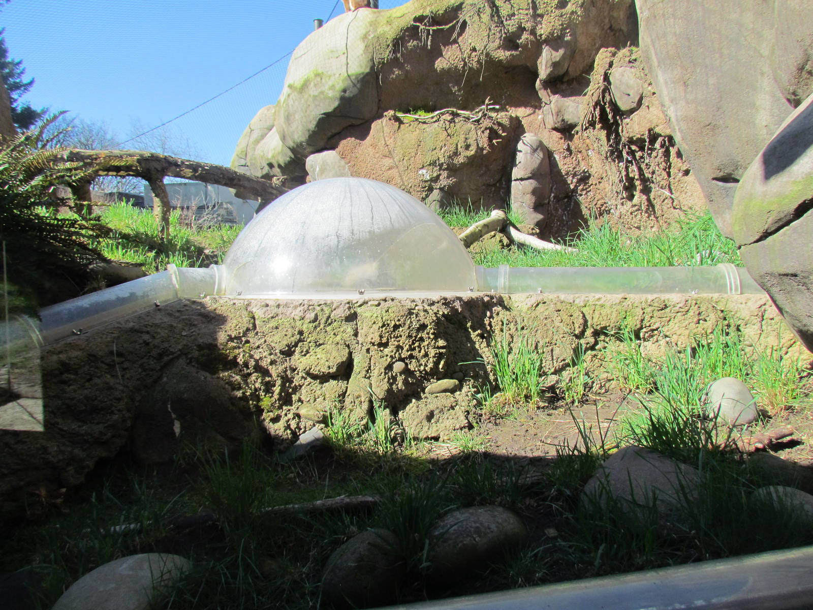 Africa - Predators of the Serengeti