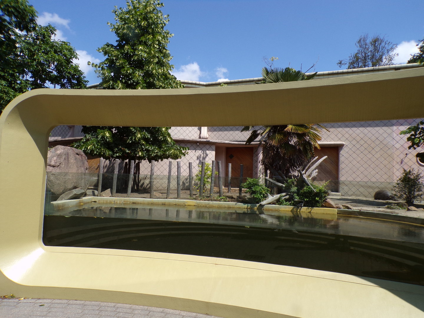 Africa- Pygmy hippo enclosure 13.7.23