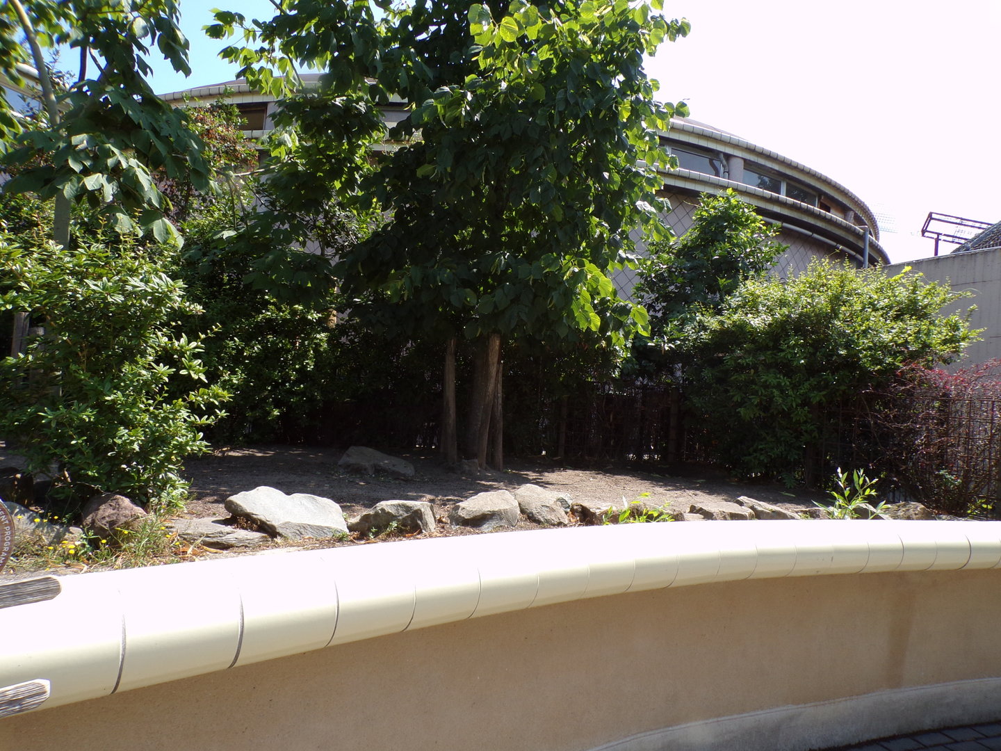 Africa- Pygmy hippo enclosure 13.7.23