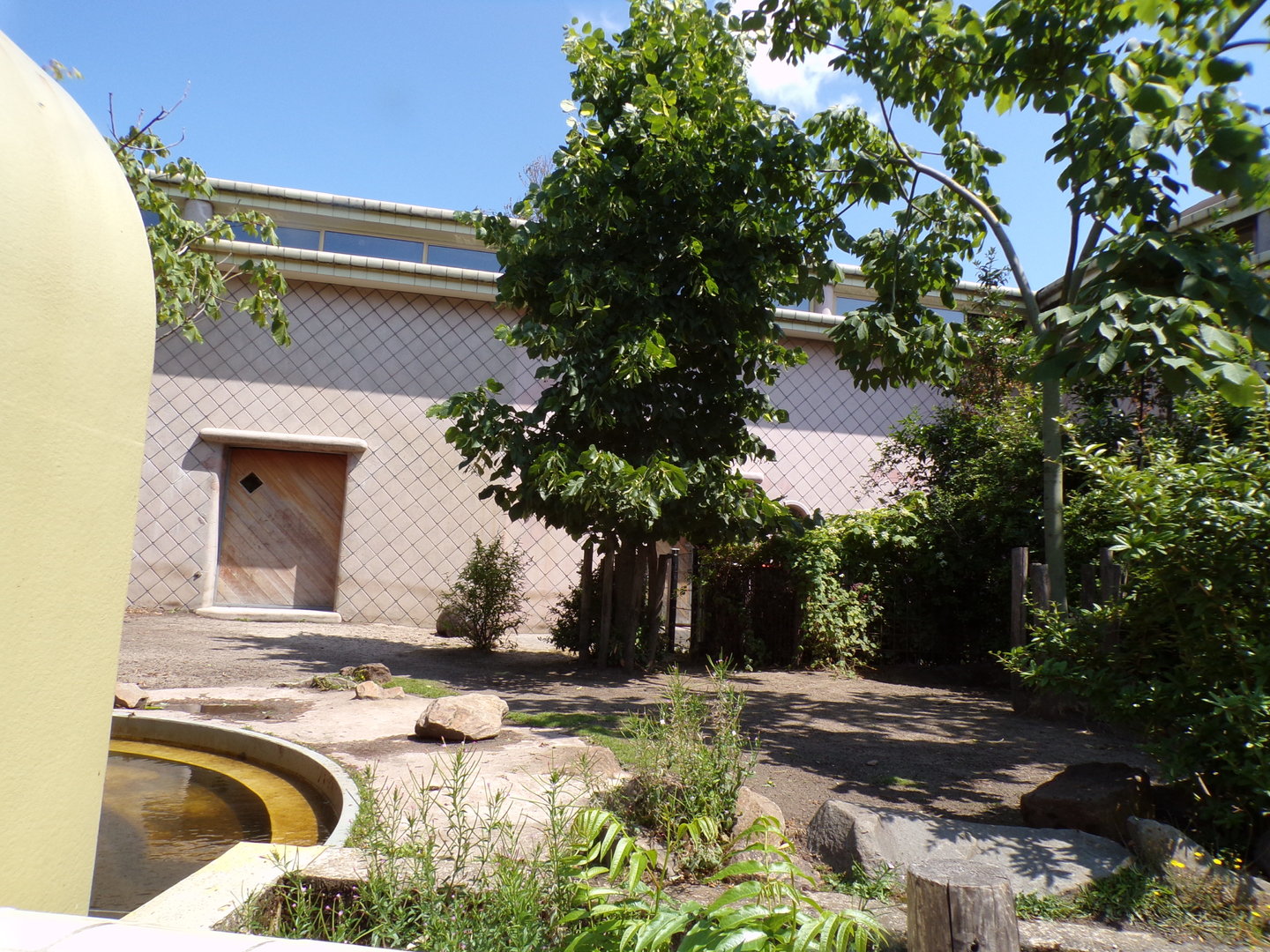 Africa- Pygmy hippo enclosure 13.7.23