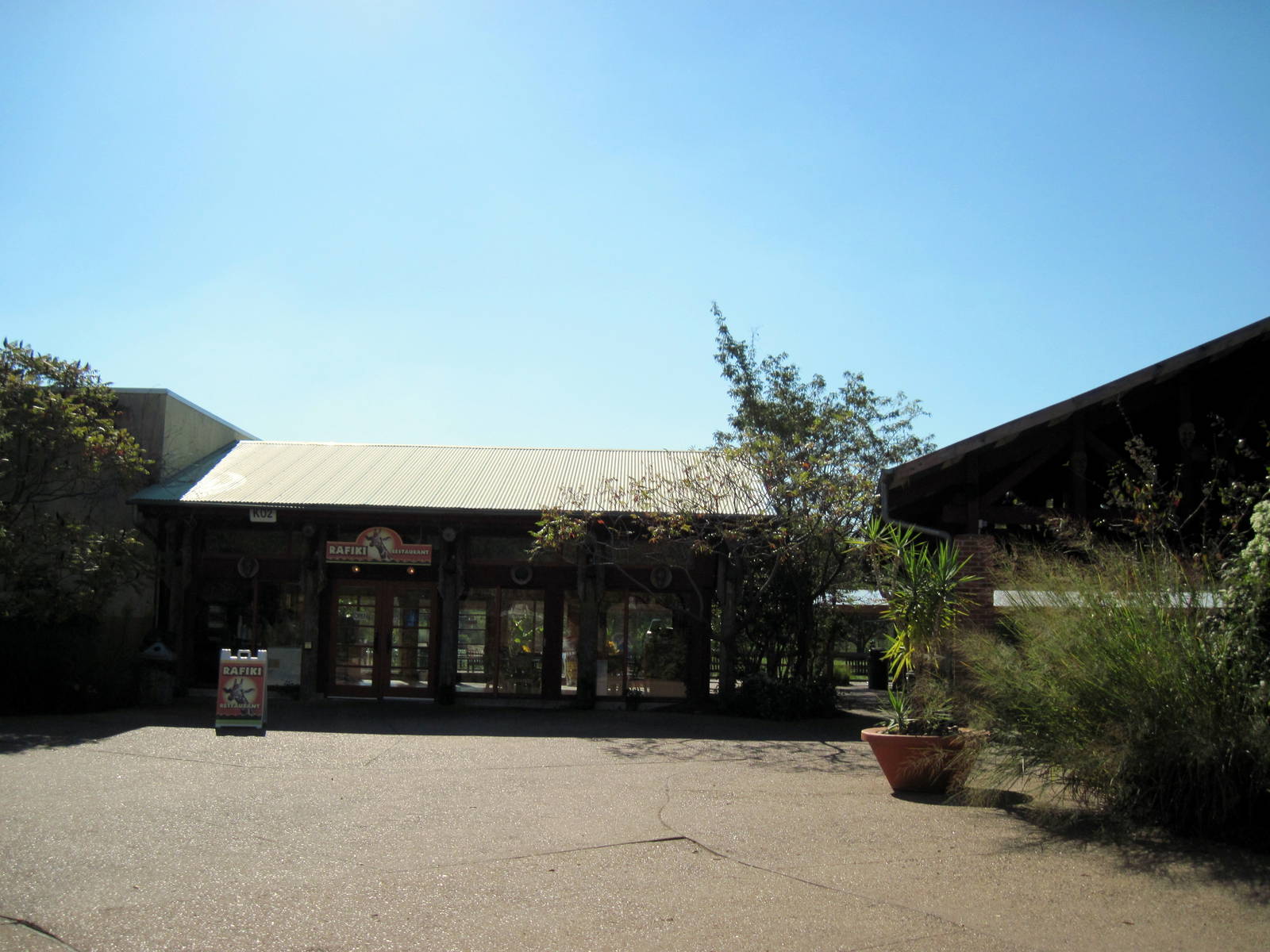 Africa-Rafiki Resturant