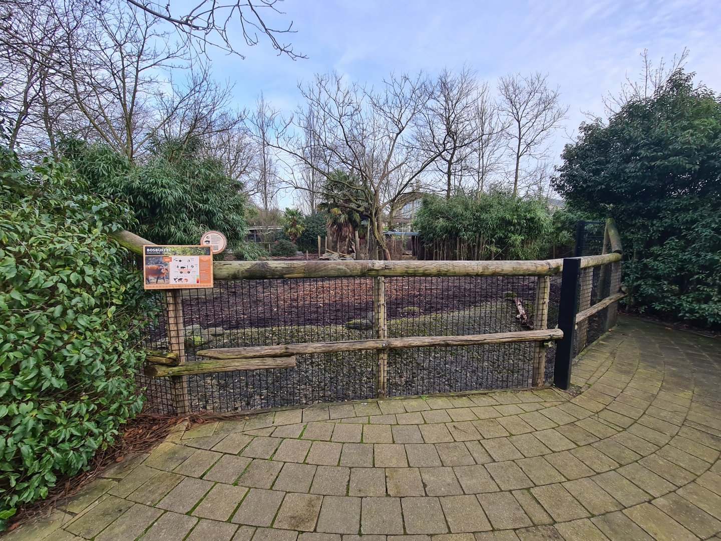 Africa - Red forest buffalo enclosure