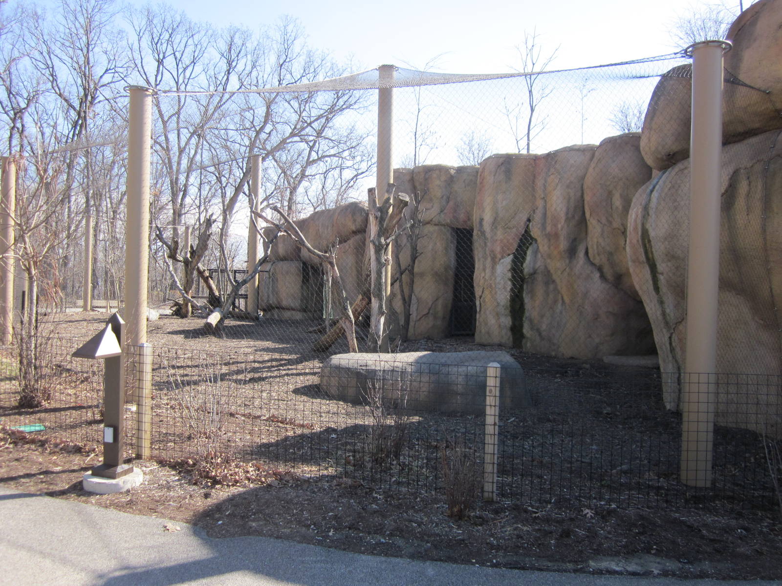 Africa-Red River Hog/Colobus Monkey