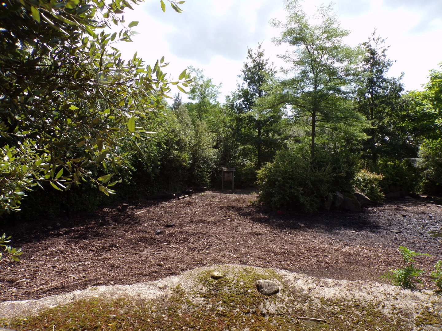 Africa- Red river hog enclosure 13.7.23