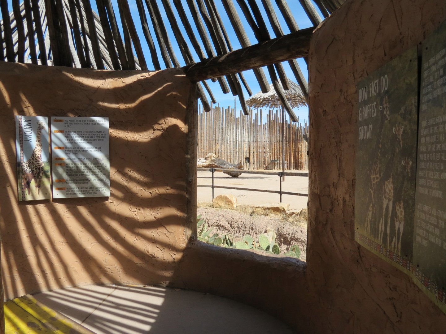 Africa - Reticulated Giraffe Exhibit Viewing Area