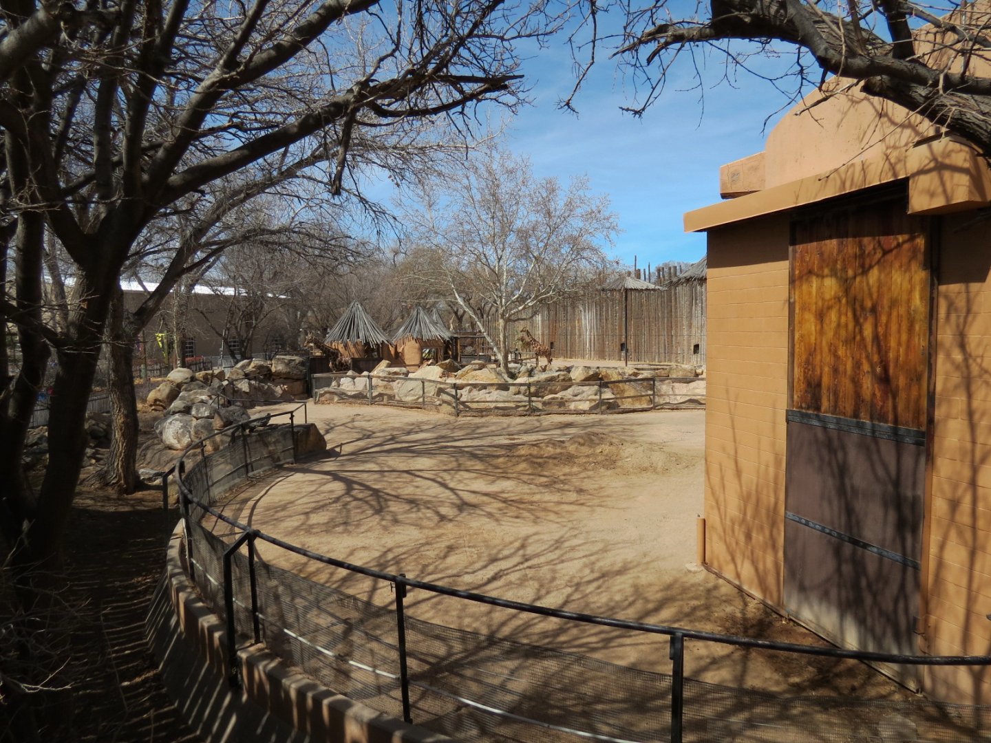 Africa - Reticulated Giraffe Exhibit