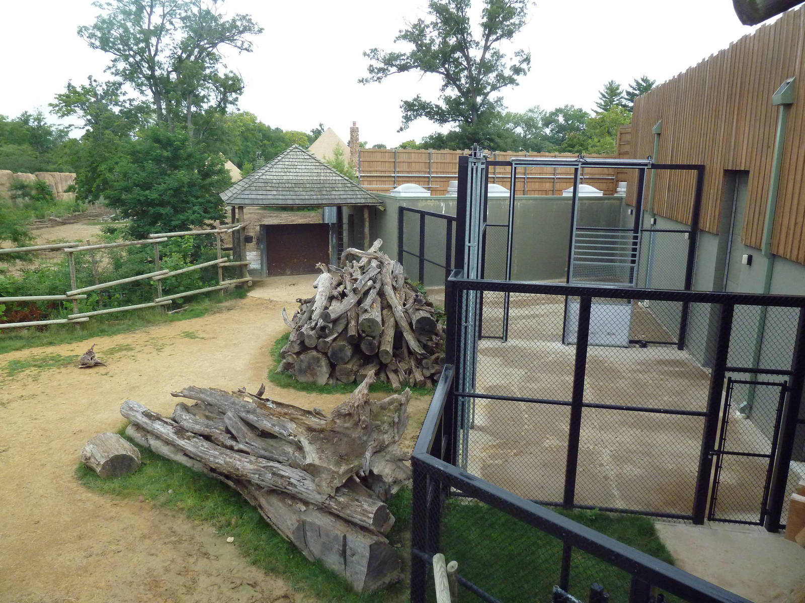 Africa! - Reticulated Giraffe/Gerenuk/Thomson's Gazelle Exhibit