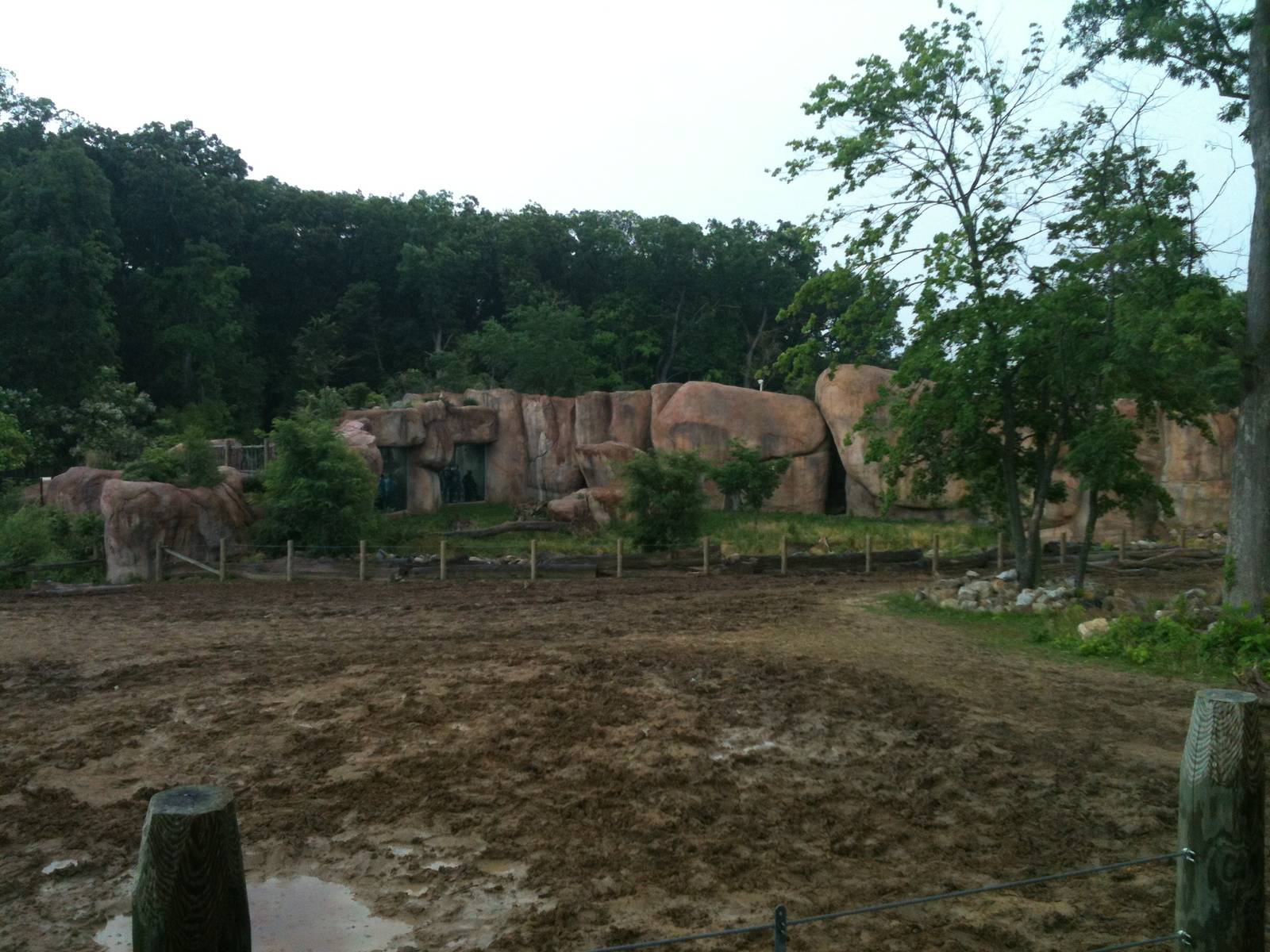 Africa-Rhino and Zebra Yard