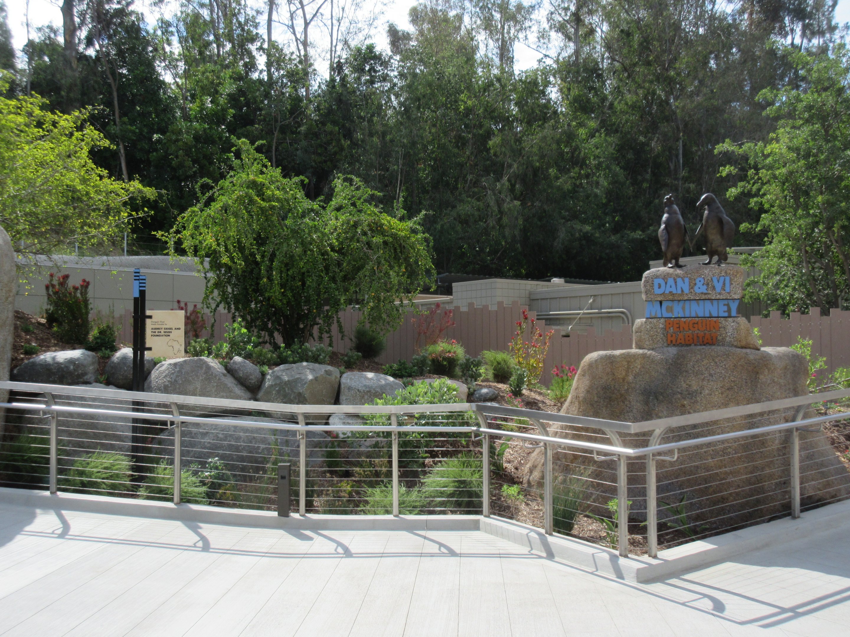 Africa Rocks - African Penguin/Leopard Shark Exhibit