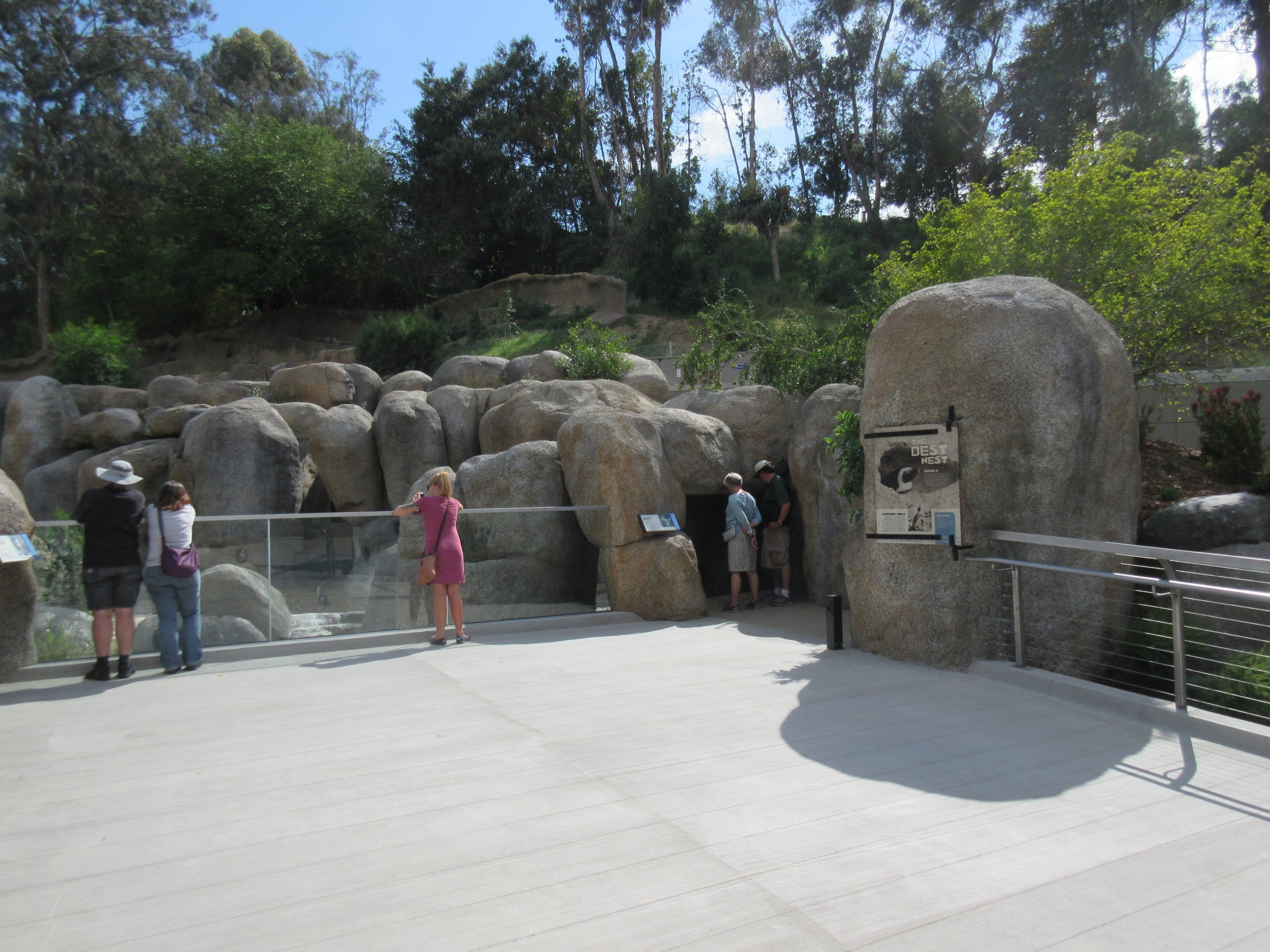 Africa Rocks - African Penguin/Leopard Shark Exhibit