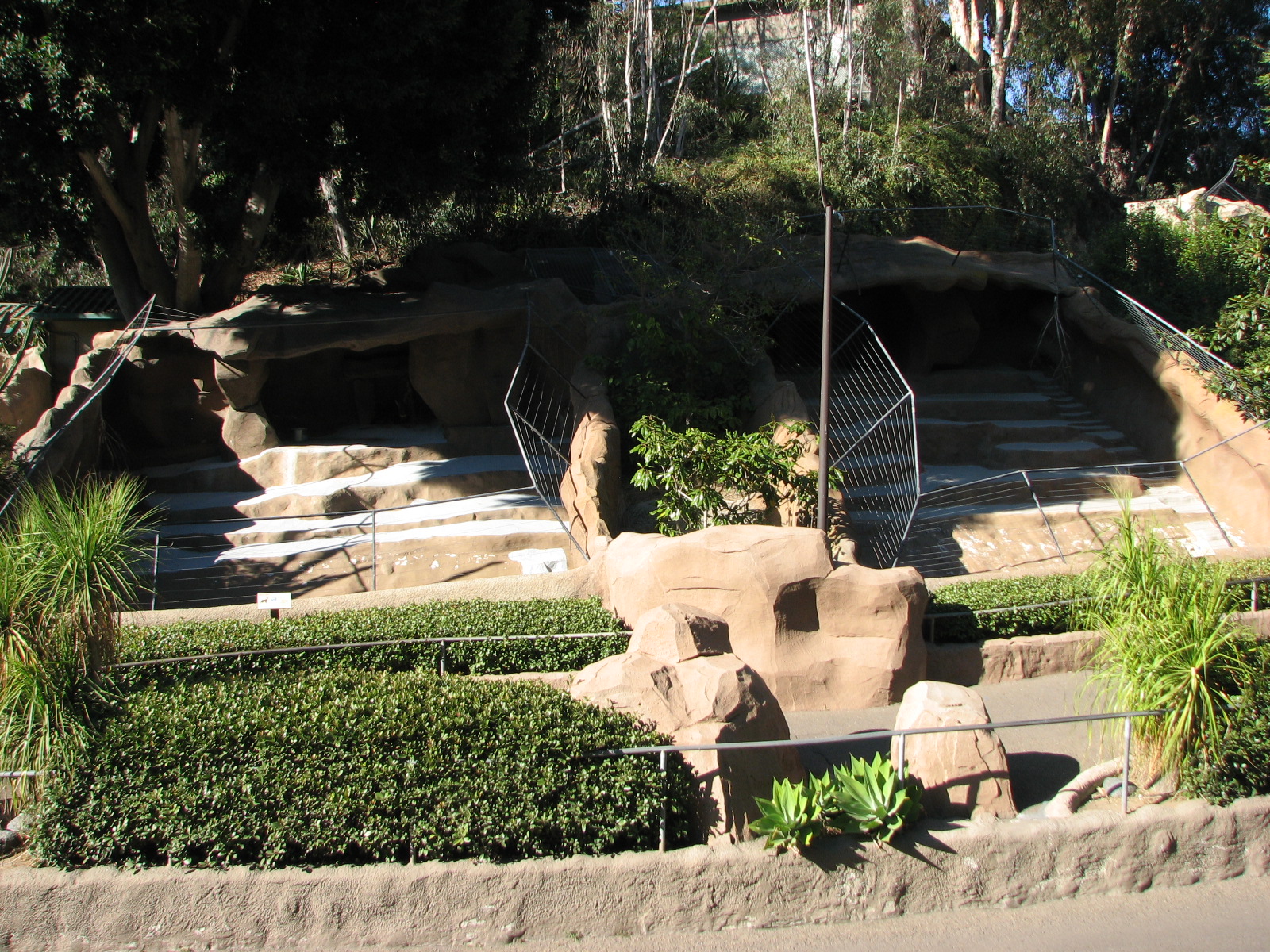 Africa Rocks - Central Chinese Goral Exhibit