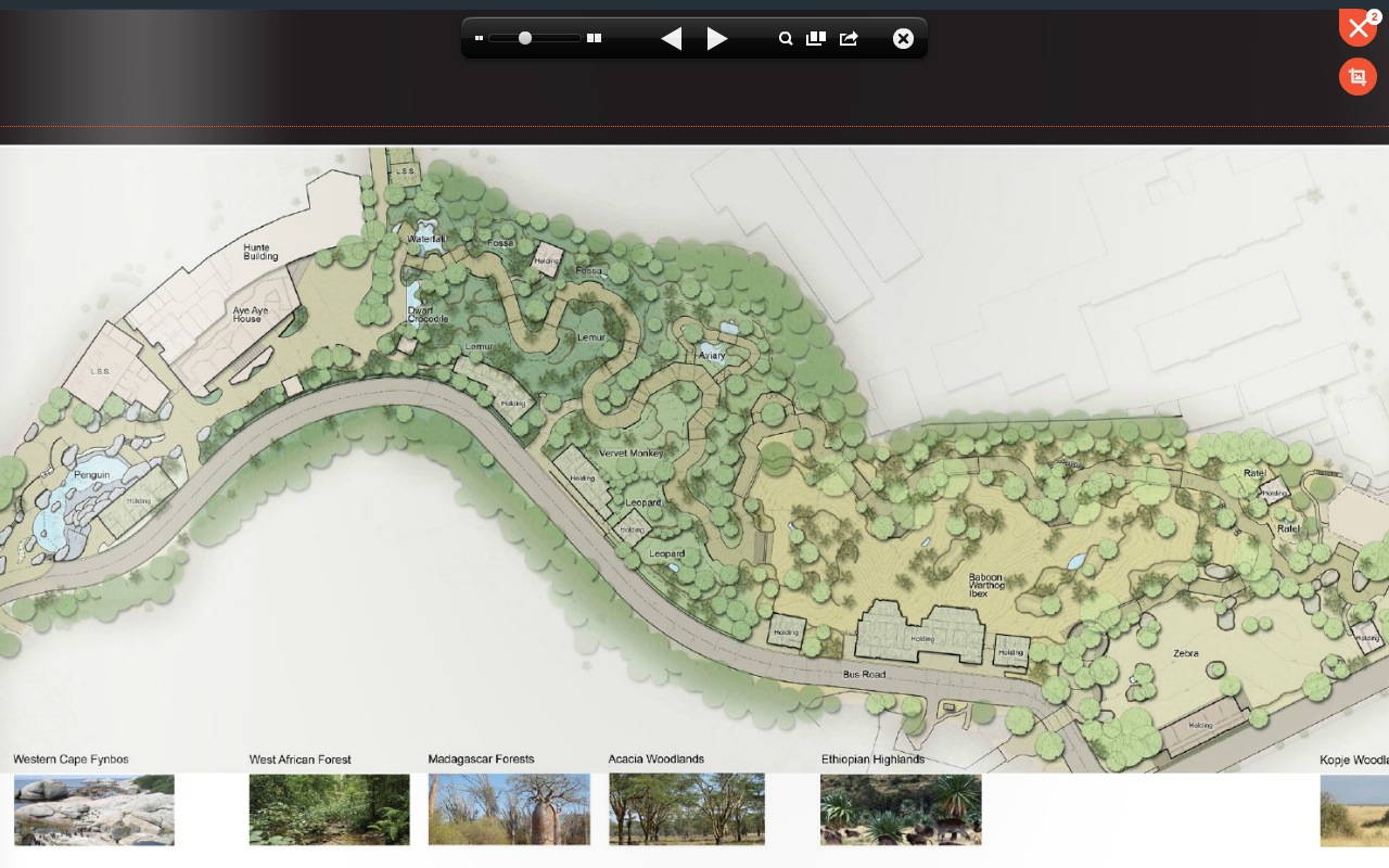 Africa Rocks Concept Map