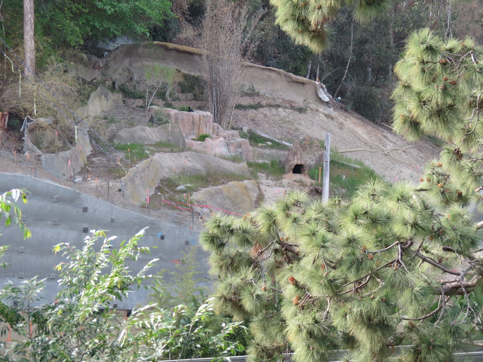 Africa Rocks Construction - View of Lower Canyon from Owens Aviary Area