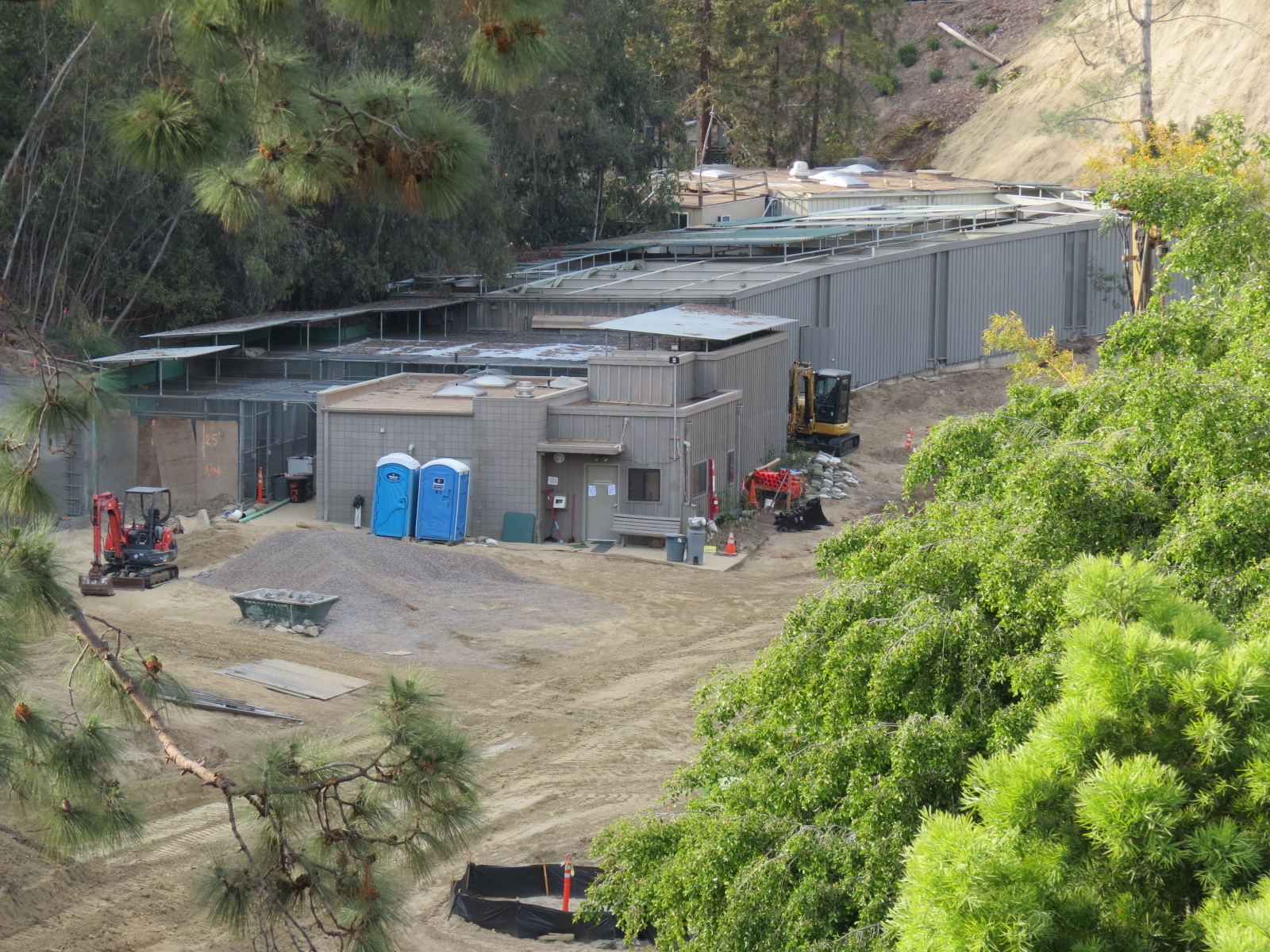 Africa Rocks Construction - View of Lower Canyon from Owens Aviary Area