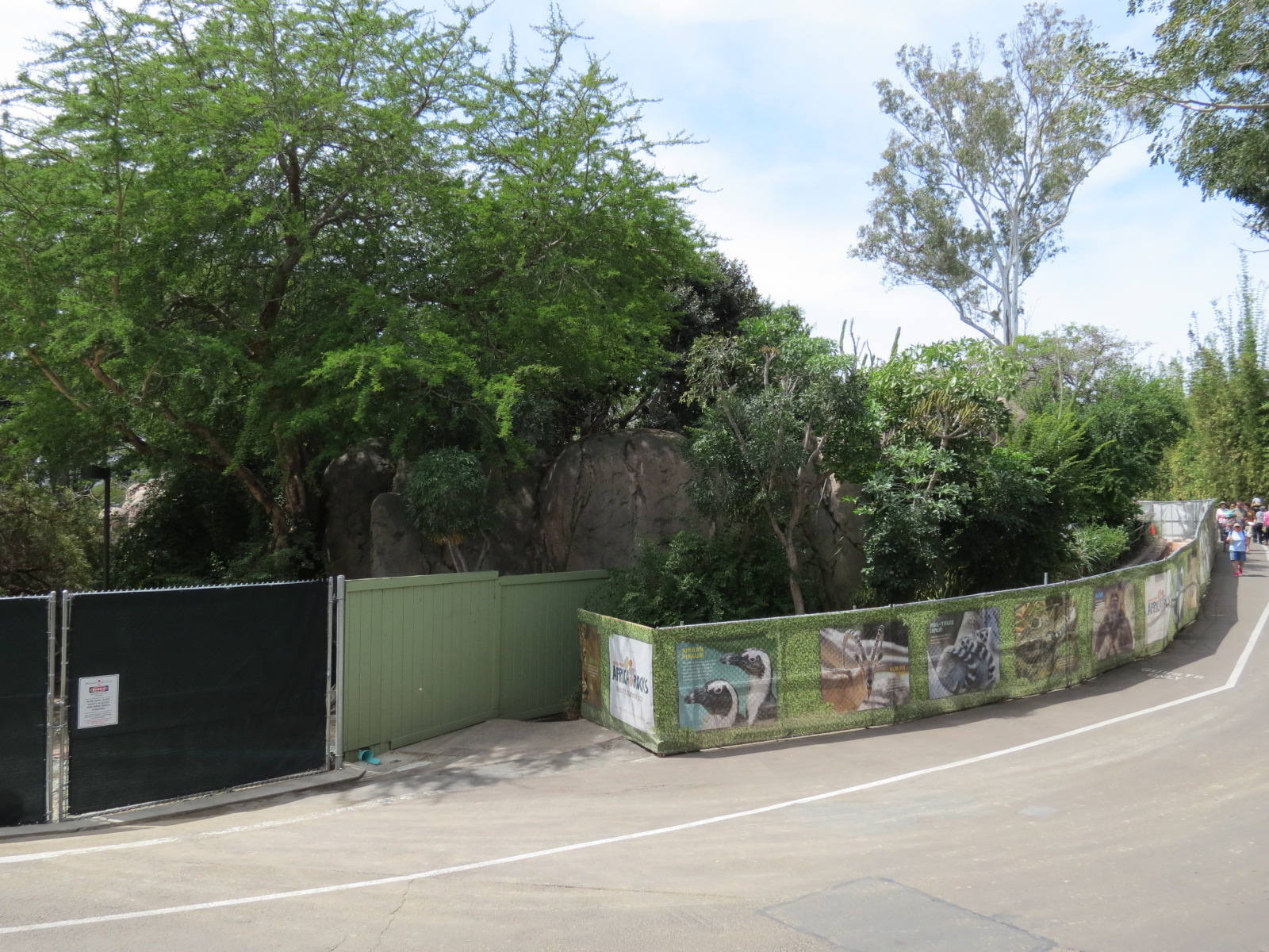 Africa Rocks Construction - View of Upper Canyon Construction Entrance