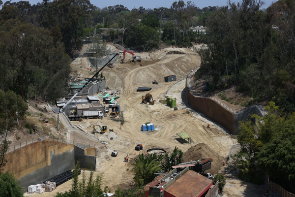 Africa Rocks construction