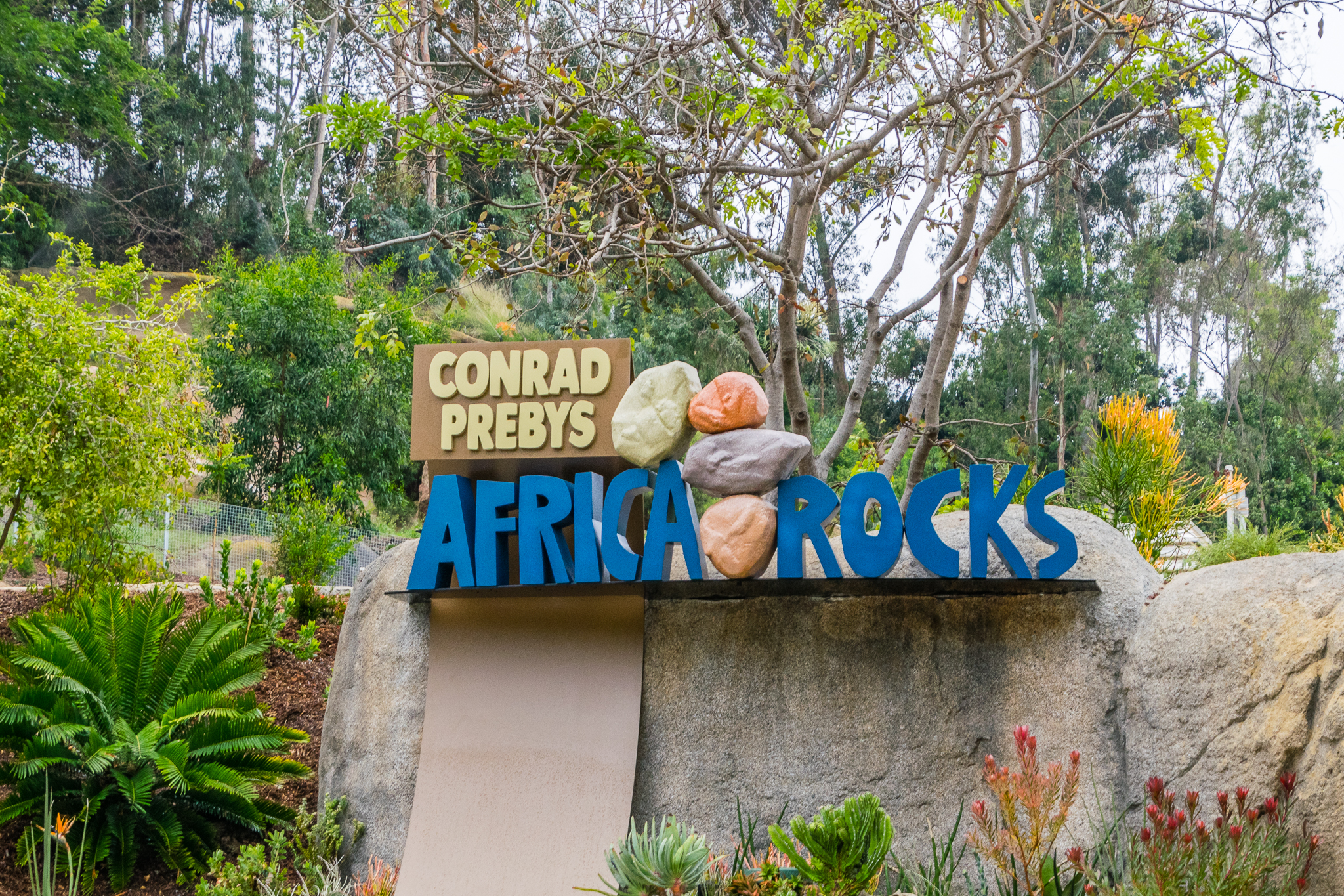 Africa Rocks Donor Preview 7/01/2017