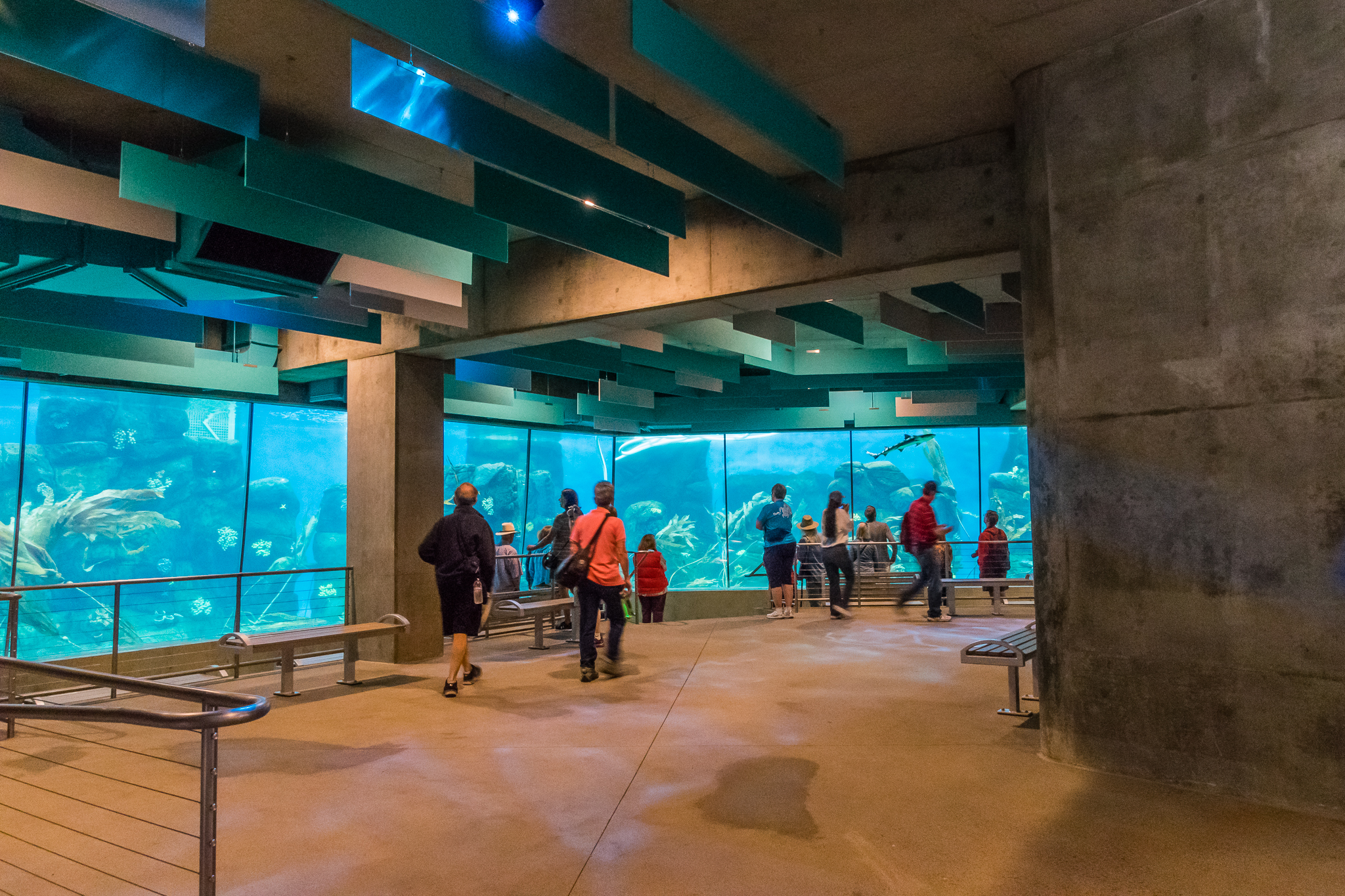 Africa Rocks Donor Preview 7/01/2017